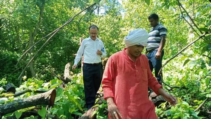 रातोपानी सामुदायिक बन भित्र भएको अबैध बन फंडानीको फिल्ड मै पुगेर मन्त्री धामीले निरिक्षण गरे